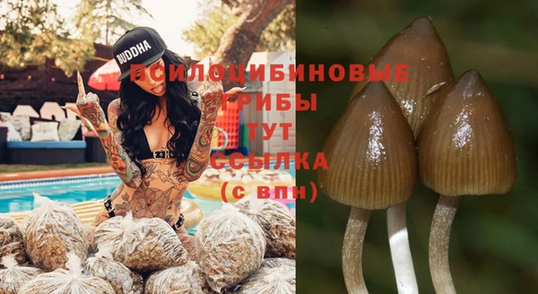 ECSTASY Алексеевка