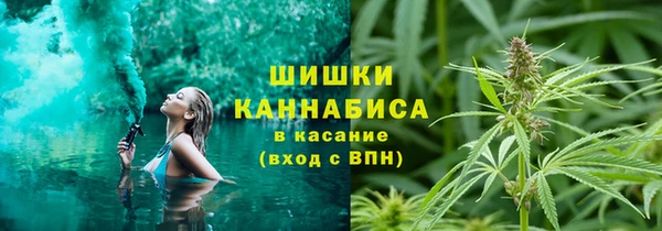 сатива Алексин