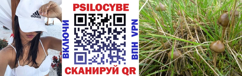 сайты даркнета состав  Ардон  Галлюциногенные грибы Magic Shrooms 